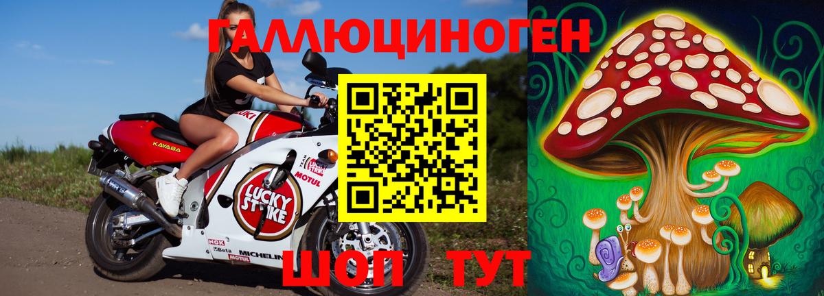 Галлюциногенные грибы Magic Shrooms  Галлюциногенные грибы Psilocybe  Ноябрьск  Вход с VPN 